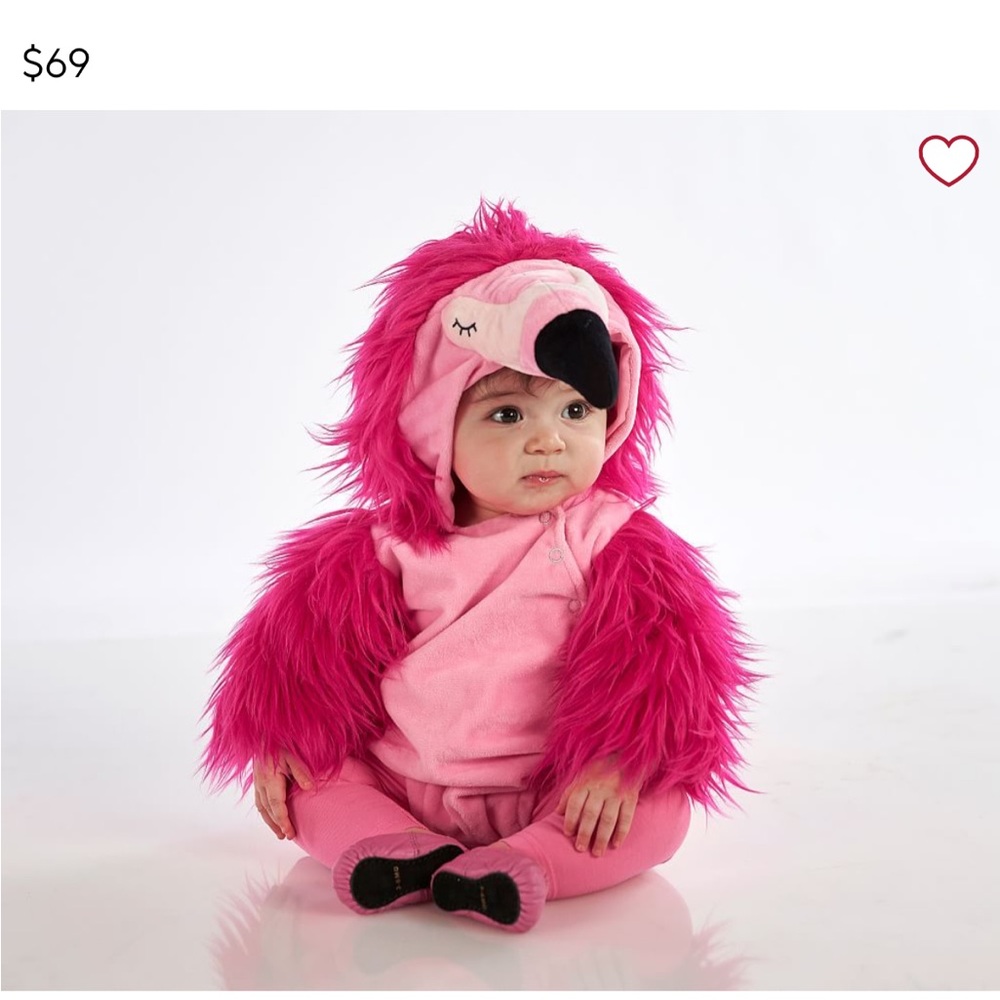 Pottery Barn Kids Baby Flamingo Halloween Costume